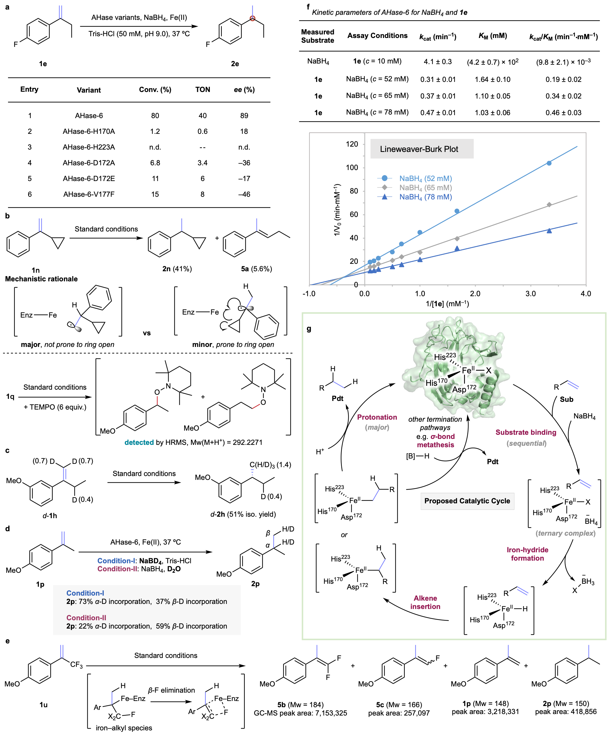 20260616-JACS-刘臻-2.反应机理研究.png